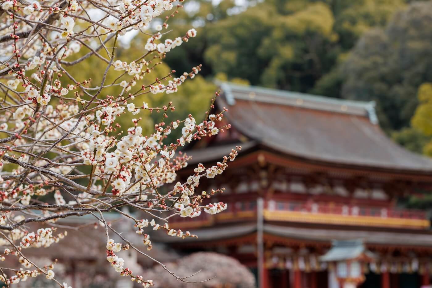 ⛩️ 스고 텐만구 신사(스고 텐만구) 이미지 7